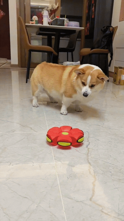 Disc Zburător Transformabil cu Mingea